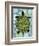 Turtle-Teofilo Olivieri-Framed Giclee Print