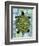 Turtle-Teofilo Olivieri-Framed Giclee Print