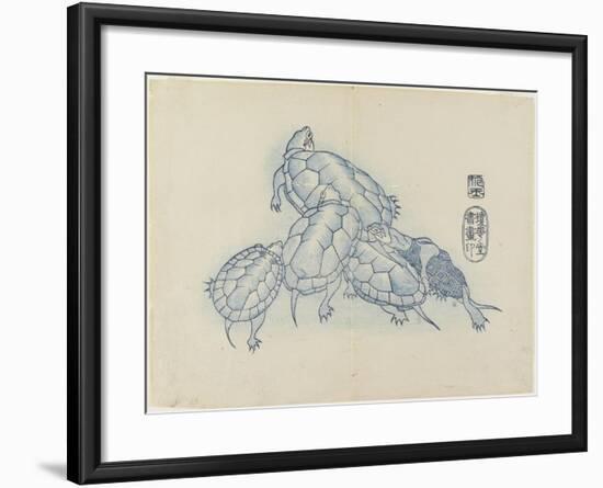 Turtles, C. 1830-Hogyoku-Framed Giclee Print