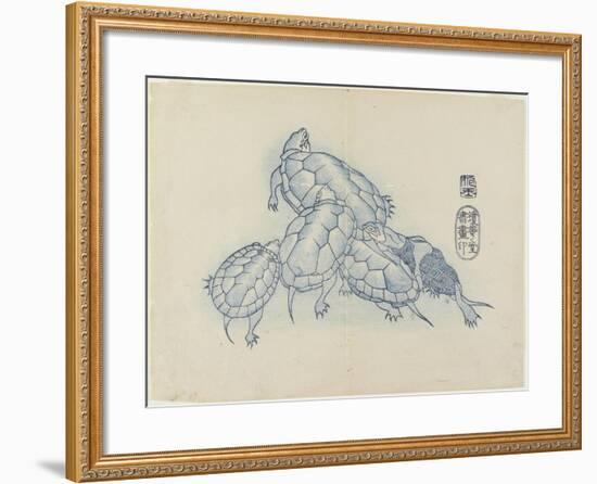 Turtles, C. 1830-Hogyoku-Framed Giclee Print