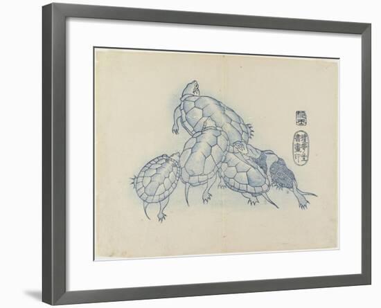 Turtles, C. 1830-Hogyoku-Framed Giclee Print