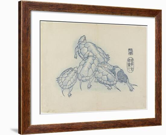 Turtles, C. 1830-Hogyoku-Framed Giclee Print