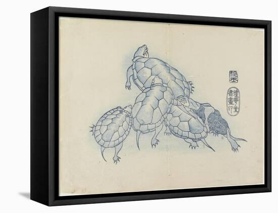 Turtles, C. 1830-Hogyoku-Framed Premier Image Canvas