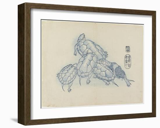 Turtles, C. 1830-Hogyoku-Framed Giclee Print