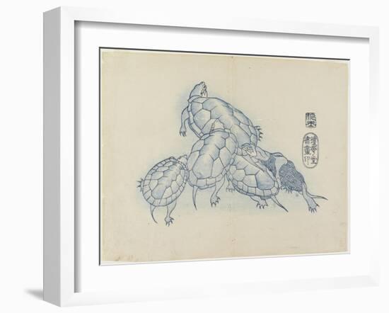 Turtles, C. 1830-Hogyoku-Framed Giclee Print