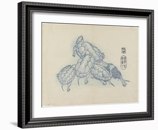 Turtles, C. 1830-Hogyoku-Framed Giclee Print