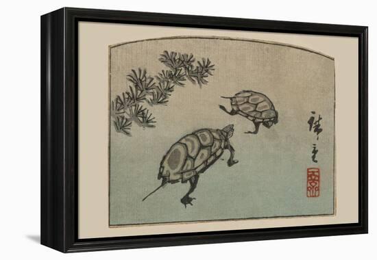 Turtles (Kame)-Ando Hiroshige-Framed Stretched Canvas