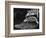 Turtles Underwater-Henry Horenstein-Framed Photographic Print