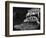 Turtles Underwater-Henry Horenstein-Framed Photographic Print