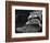 Turtles Underwater-Henry Horenstein-Framed Photographic Print