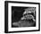 Turtles Underwater-Henry Horenstein-Framed Photographic Print