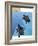 Turtles-Marie Sansone-Framed Giclee Print