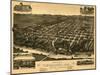 Tuscaloosa, Alabama - Panoramic Map-Lantern Press-Mounted Art Print