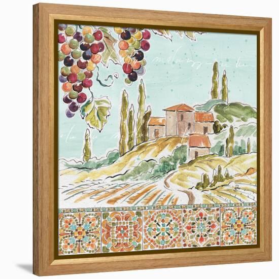 Tuscan Breeze III-Daphne Brissonnet-Framed Stretched Canvas