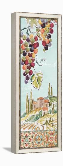 Tuscan Breeze IV-Daphne Brissonnet-Framed Stretched Canvas