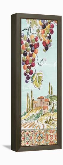 Tuscan Breeze IV-Daphne Brissonnet-Framed Stretched Canvas