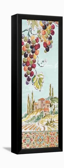 Tuscan Breeze IV-Daphne Brissonnet-Framed Stretched Canvas