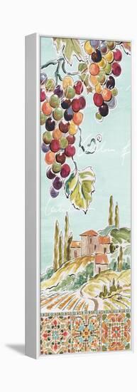 Tuscan Breeze IV-Daphne Brissonnet-Framed Stretched Canvas