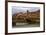 Tuscan Bridge II-Rita Crane-Framed Photographic Print