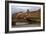 Tuscan Bridge II-Rita Crane-Framed Photographic Print