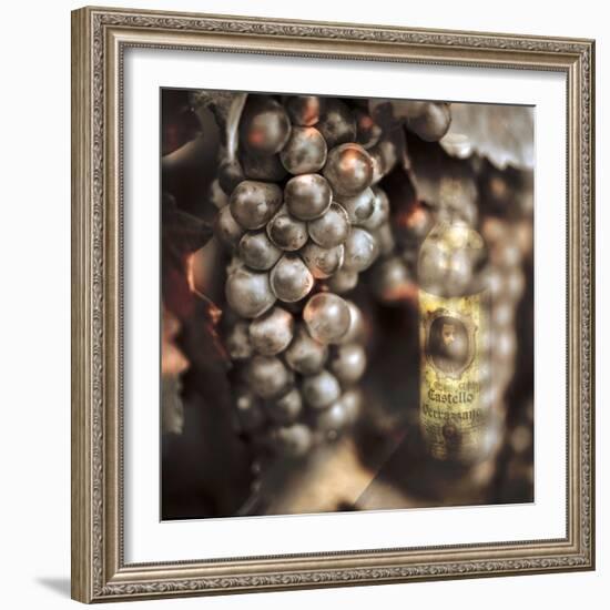 Tuscan Caffe #3-Alan Blaustein-Framed Photographic Print