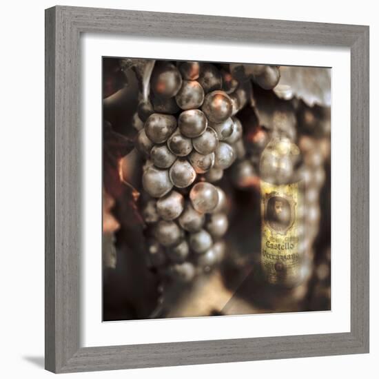 Tuscan Caffe #3-Alan Blaustein-Framed Photographic Print