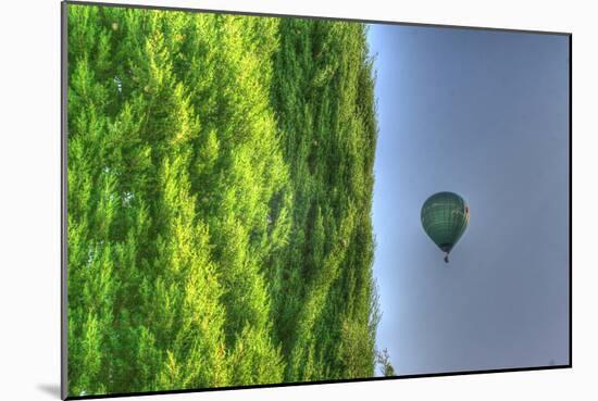 Tuscan Cedar and Balloon-Robert Goldwitz-Mounted Photographic Print