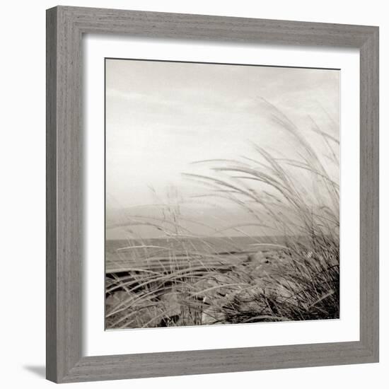 Tuscan Coast Dunes #1-Alan Blaustein-Framed Photographic Print