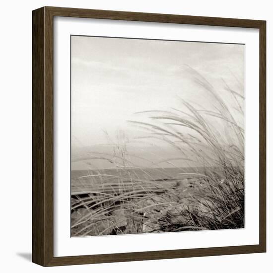 Tuscan Coast Dunes #1-Alan Blaustein-Framed Photographic Print