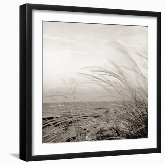 Tuscan Coast Dunes #1-Alan Blaustein-Framed Photographic Print