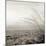 Tuscan Coast Dunes #1-Alan Blaustein-Mounted Photographic Print