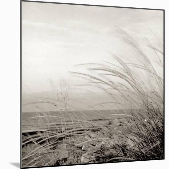 Tuscan Coast Dunes #1-Alan Blaustein-Mounted Photographic Print