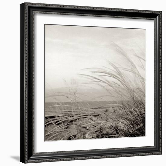 Tuscan Coast Dunes #1-Alan Blaustein-Framed Photographic Print