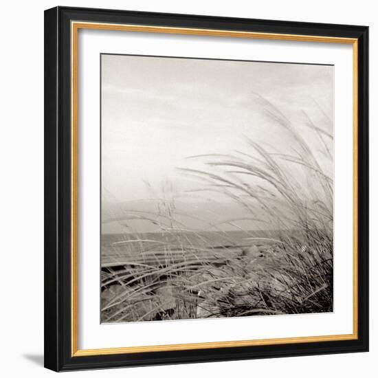 Tuscan Coast Dunes #1-Alan Blaustein-Framed Photographic Print
