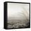 Tuscan Coast Dunes #1-Alan Blaustein-Framed Stretched Canvas