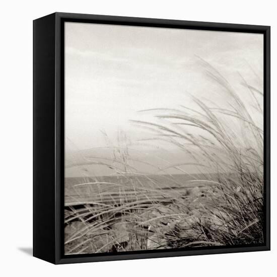 Tuscan Coast Dunes #1-Alan Blaustein-Framed Stretched Canvas