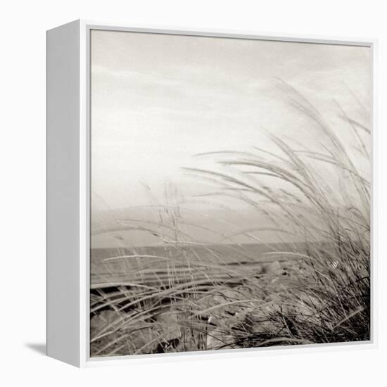 Tuscan Coast Dunes #1-Alan Blaustein-Framed Stretched Canvas