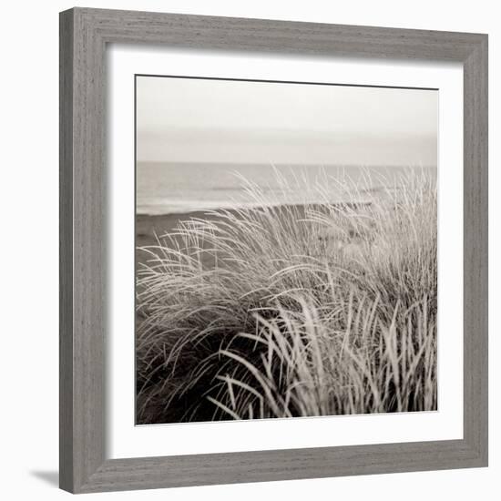 Tuscan Coast Dunes #2-Alan Blaustein-Framed Photographic Print