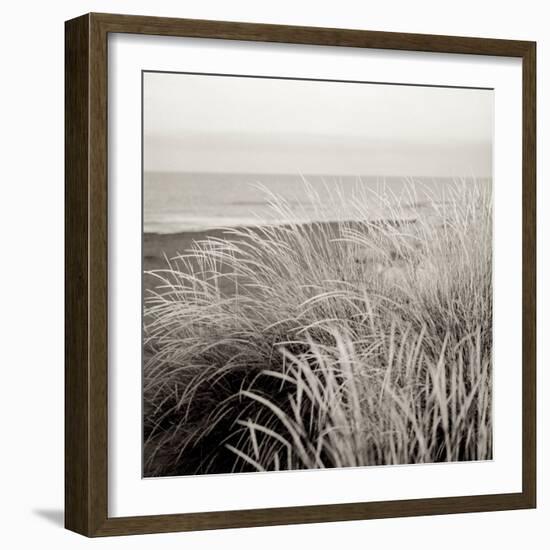 Tuscan Coast Dunes #2-Alan Blaustein-Framed Photographic Print