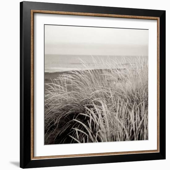 Tuscan Coast Dunes #2-Alan Blaustein-Framed Photographic Print