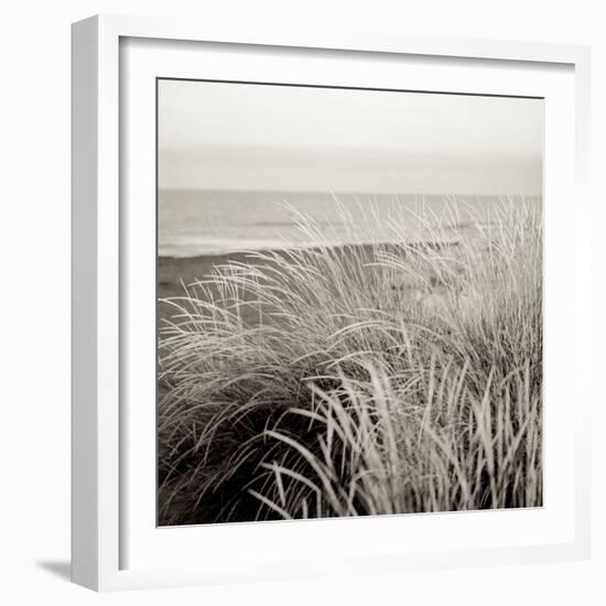 Tuscan Coast Dunes #2-Alan Blaustein-Framed Photographic Print