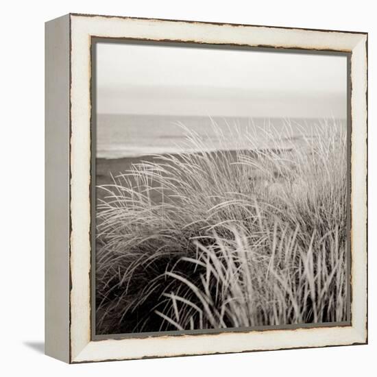 Tuscan Coast Dunes #2-Alan Blaustein-Framed Stretched Canvas