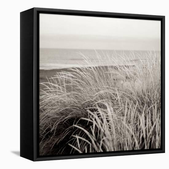 Tuscan Coast Dunes #2-Alan Blaustein-Framed Stretched Canvas