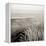 Tuscan Coast Dunes #2-Alan Blaustein-Framed Stretched Canvas