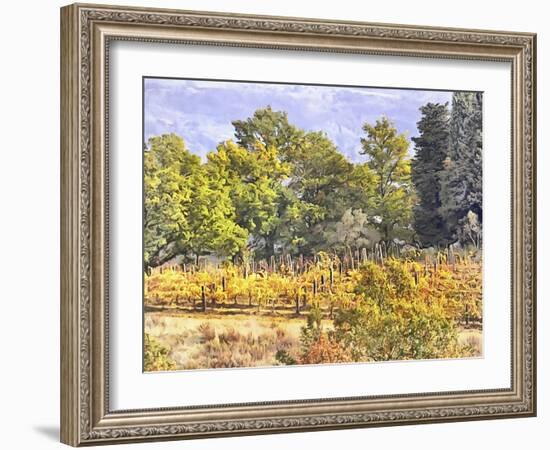 Tuscan Countryside In Autumn-Dorothy Berry-Lound-Framed Giclee Print