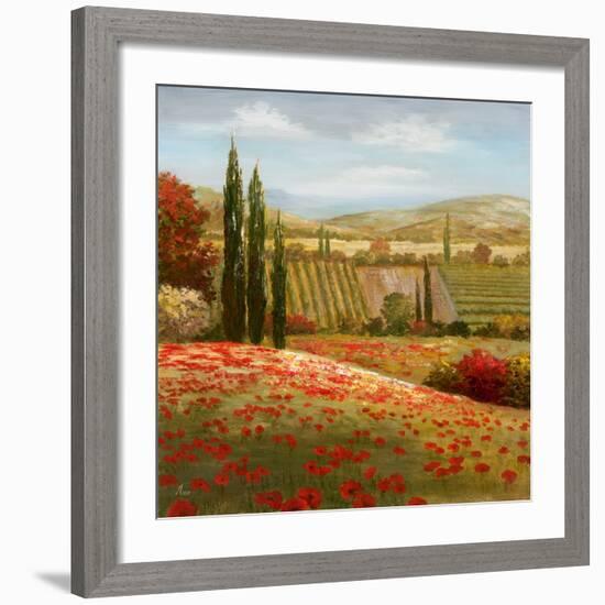 Tuscan Cypress I-Nan-Framed Art Print