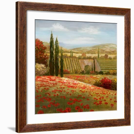 Tuscan Cypress I-Nan-Framed Art Print