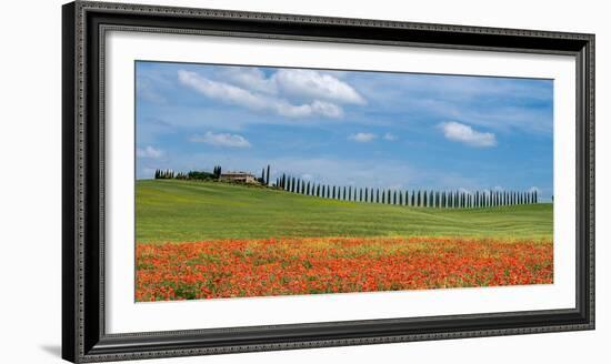 Tuscan cypress trees-Marco Carmassi-Framed Photographic Print