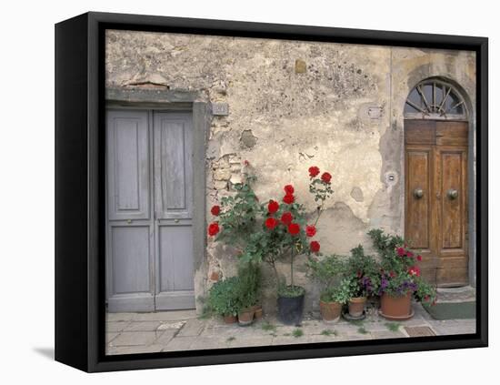 Tuscan Doorway in Castellina in Chianti, Italy-Walter Bibikow-Framed Premier Image Canvas