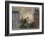 Tuscan Doorway in Castellina in Chianti, Italy-Walter Bibikow-Framed Photographic Print